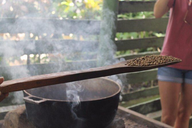 Bayahibe Countryside Safari from La Romana - Anamuya Mountain buffet lunch with panoramic views