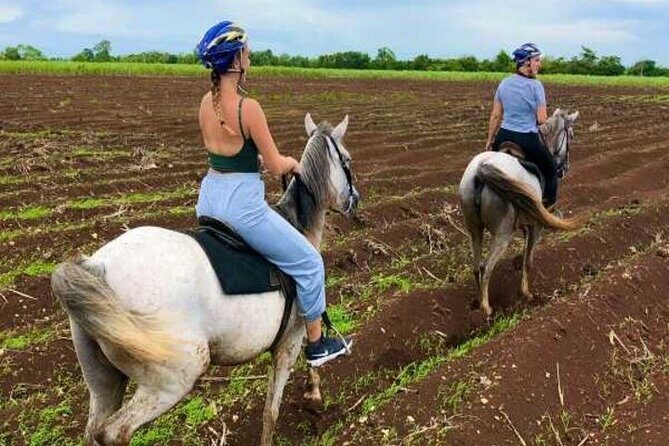 Bayahíbe Horseback Riding & River swimmig - Value check: is $125 per person worth it?