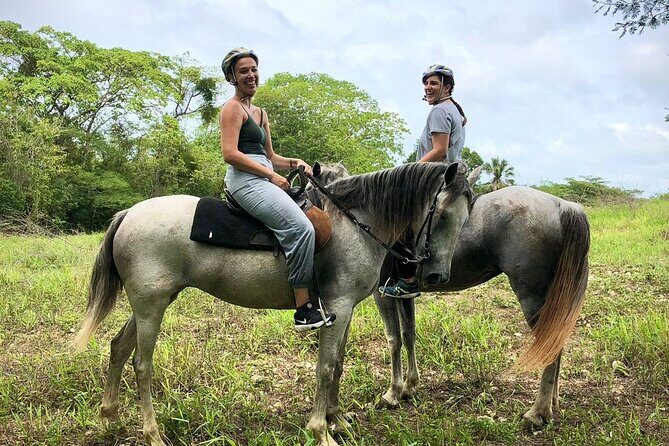 Bayahíbe Horseback Riding & River swimmig - Who this trip suits best (and who might want to skip it)