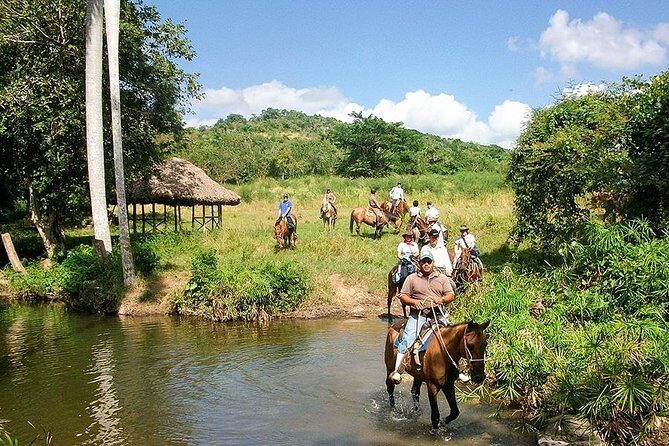 Bayahíbe Horseback Riding & River swimmig - The 2-hour rhythm: pickup, ride, river time, and back