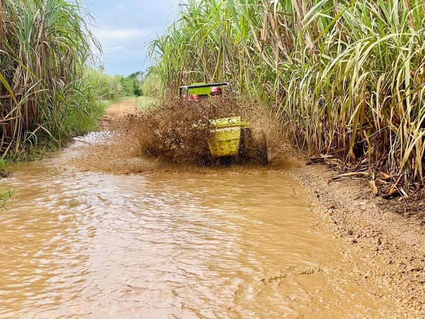 Bayahibe: Jungle Off-Road Buggy Adventure - Key Highlights You’ll Actually Remember