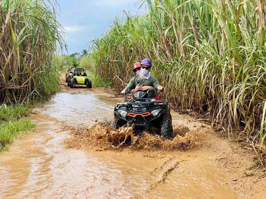 Bayahibe: Jungle Off-Road Buggy Adventure - Ranch Time: Banana Walk, Organic Coffee/Chocolate, and a Mamajuana Toast