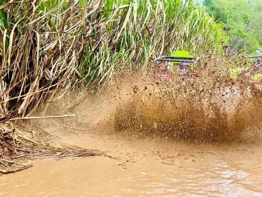 Bayahibe: Jungle Off-Road Buggy Adventure - What to Bring: Sun, Bugs, Mud, and Quick Access to Water