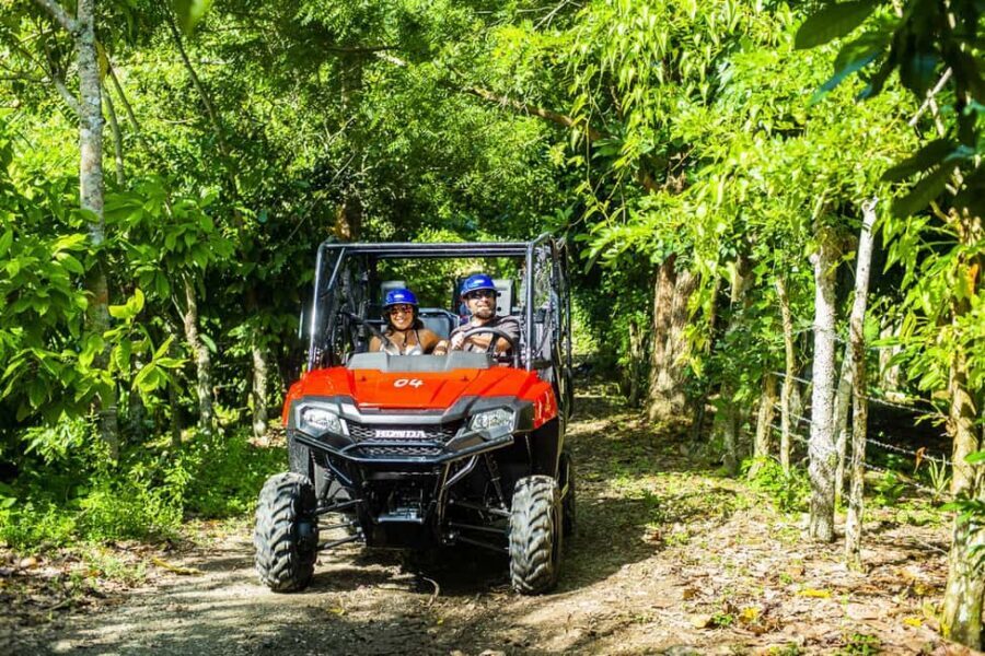 Bayahibe/La Romana: 4x4 Buggy and Monkeyland Tour - Honda Pioneer 700 4x4 buggy driving in the Dominican terrain