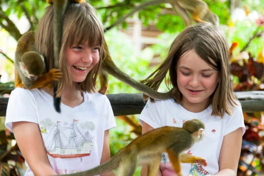 Bayahibe/La Romana: 4x4 Buggy and Monkeyland Tour - Who this tour is best for (and who should skip it)