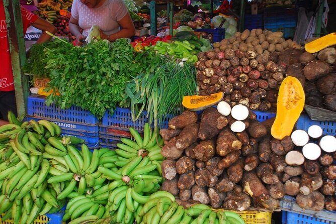 Bayahibe Safari Discovery - Stop 3: Lunch in Sugar Cane Fields, Then a Chavón Barge Ride