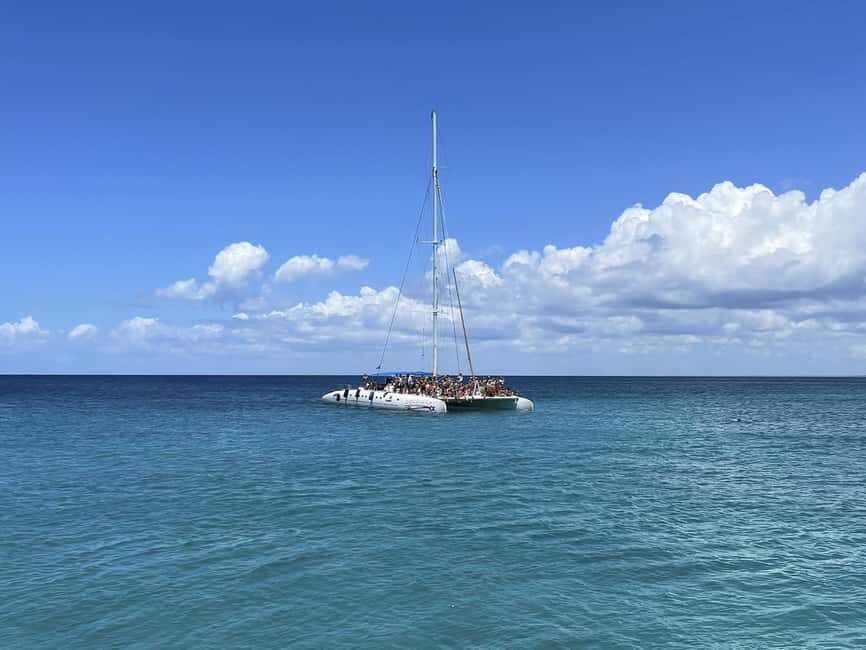 Bayahibe: Saona Island Boat Tour Small Group - Key Points at a Glance