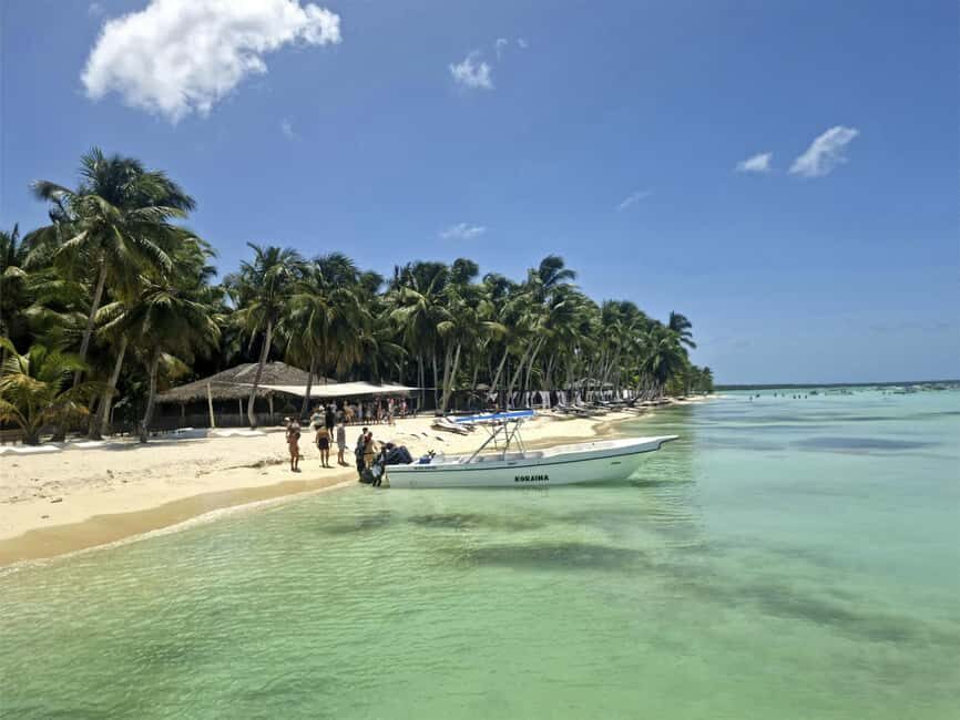Bayahibe: Saona Island Boat Tour Small Group - Price check: Is $65 worth it for what you get?