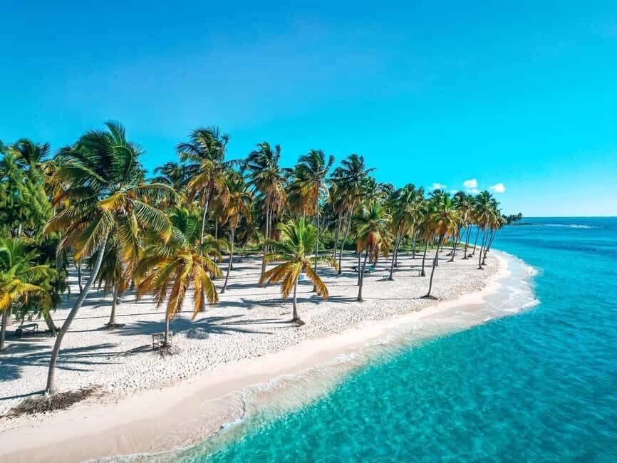 Bayahibe: Saona Island Catamaran Cruise with Natural Pool - Key highlights worth knowing