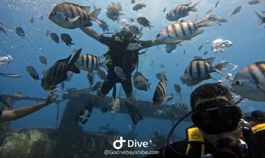 Bayahibe: Scuba Diving Initiation by Go Dive Bayahibe - The 4-Hour Schedule: How Your Time Is Used