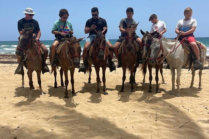 Beach Horseback Ride Tour at Punta Cana - The Animal Encounters Along the Coast