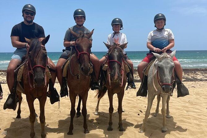 Beach Horseback Ride Tour at Punta Cana - Riding Comfort: What You’ll Want to Know Before You Go
