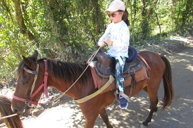 Beach Horseback Ride Tour in Puerto Plata - Scenic & Fun for All - Saddle Up to Bergantín Beach: The Big Idea Behind This Ride