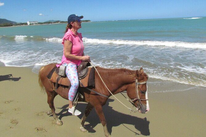 Beach Horseback Ride Tour in Puerto Plata - Scenic & Fun for All - Price and Value: Is $70 a Good Deal for What You Get?