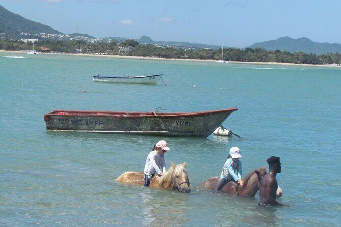 Beach Horseback Ride Tour in Puerto Plata - Scenic & Fun for All - Horses, Safety, and the 250-Pound Limit