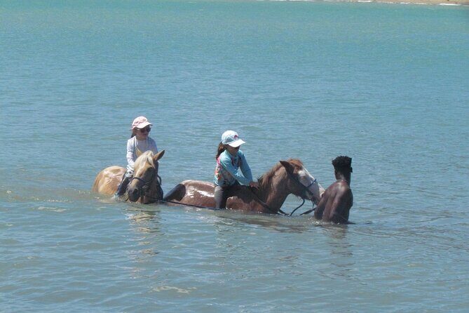Beach Horseback Ride Tour in Puerto Plata - Scenic & Fun for All - Real-World Notes: Tack Condition, Language, and Pacing
