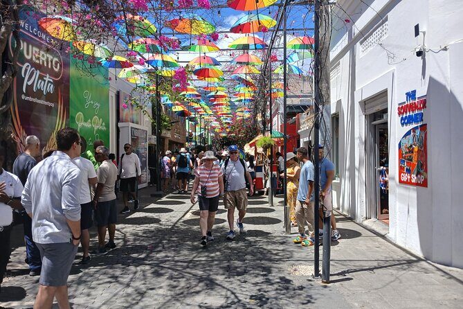 Best Puerto Plata City Tour - Why the Puerto Plata highlights click in just 3–4 hours