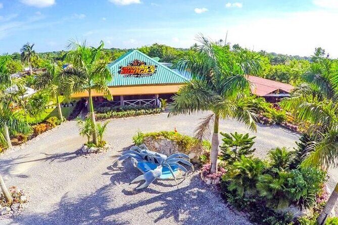 Boogies Adventure, Private Cave, Taino Show - Private cave/cenote swim: the coolest break in the schedule