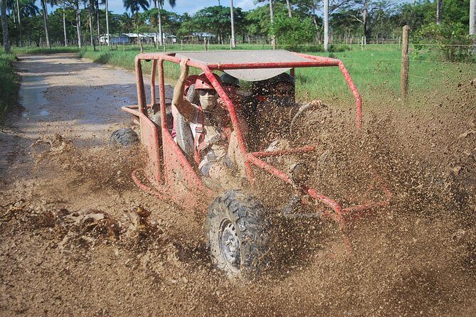 Buggies Experience From Punta Cana - Key highlights at a glance