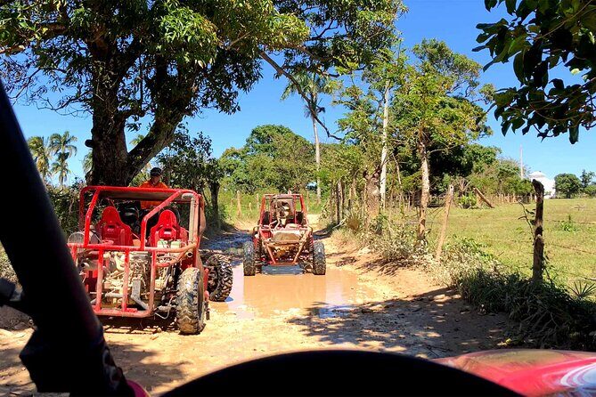 Buggy Adventure: Macao Beach & Cenote Experience - Cenote Taina Swim: Natural Spring Water That Breaks Up the Ride