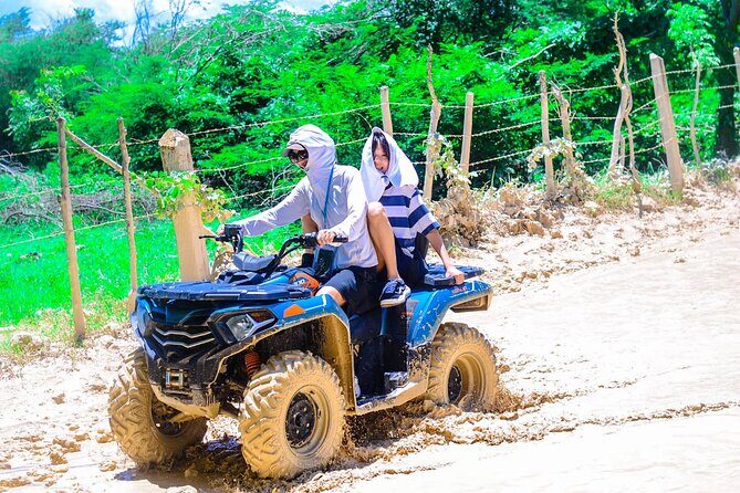 Buggy Adventure: Macao Beach & Cenote Experience - Price and Value: Why $60 Can Make Sense for a Four-Hour Day