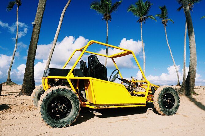 Buggy Adventure: Macao Beach & Cenote Experience - Should You Book This Buggy Adventure to Macao Beach and Cenote Taina?