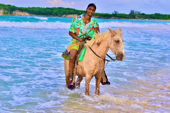 Buggy, horse and plantation ranch - Should You Book This Punta Cana Buggy, Horse, and Plantation Ranch Tour?
