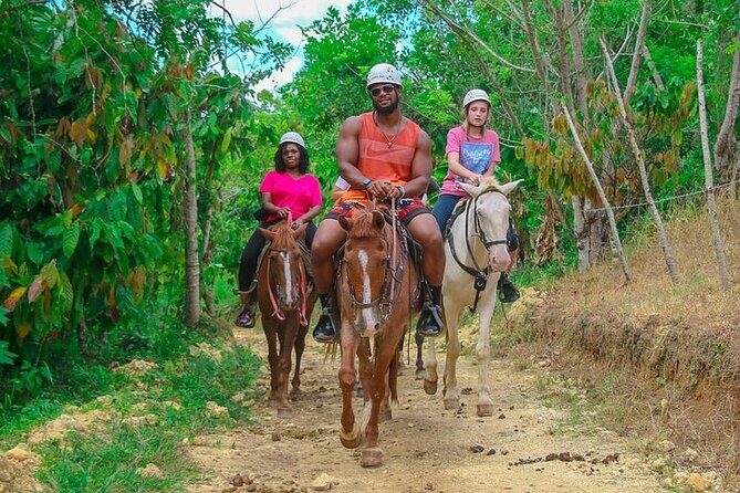 Buggy, Horse and Zip Line with Lunch included from Punta Cana - Who This Tour Fits Best (And Who Should Rethink It)