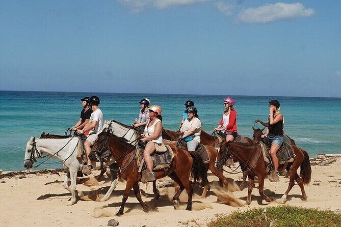 Buggy Horses and Zip Line from Punta Cana with Lunch Included - Starting out with buggy boogies: dust, hills, and jungle-road vibes