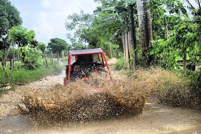 Buggy Off-Roading with Chocolate and Coffee Tasting in Punta Cana - The Ranch Lesson: Coffee, Cocoa, and Cigar Production