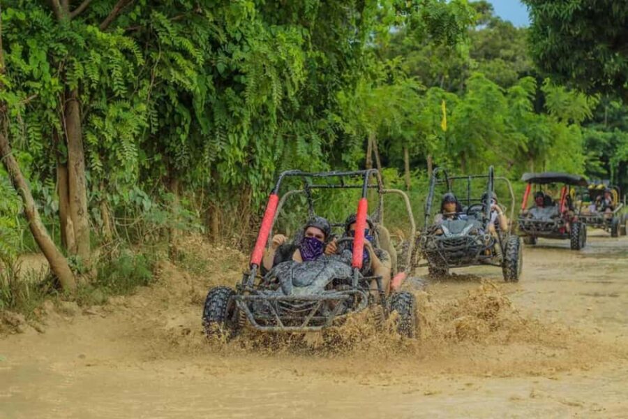 Buggy ride on rural routes and Macao Beach - Service and Small Details That Matter on the Day