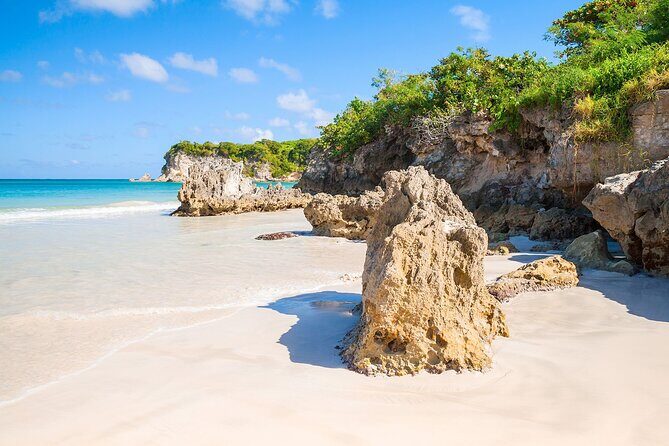 Buggy Tour of the Dominican Countryside + Beach and Local Culture - Typical house time in Punta Cana: tastings with real Dominican flavors