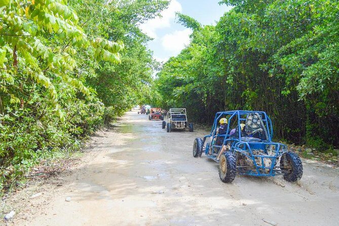 Buggys & Polaris -Best Way to Explore Punta Cana - Rural village roads and farms: the crop stops you actually remember