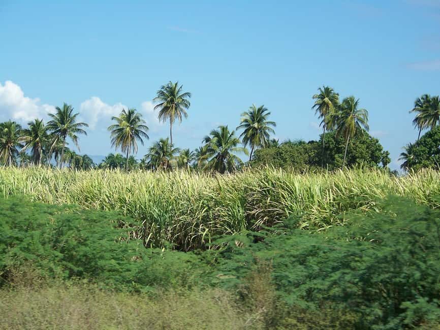 Cabarete: 2-Person Dominican Countryside Buggy Tour - Pickup From Puerto Plata, Sosúa, or Cabarete: How the Timing Works