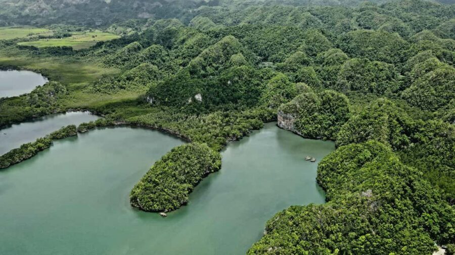 Cano Hondo Natural Pools & Los Haitises boat tour - Group size, guides, and timing: how to plan without stress