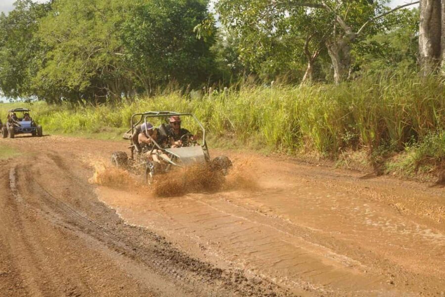 Caribbean Buggy Escape – Bayahibe Jungle & Safari - Key highlights you’ll actually feel