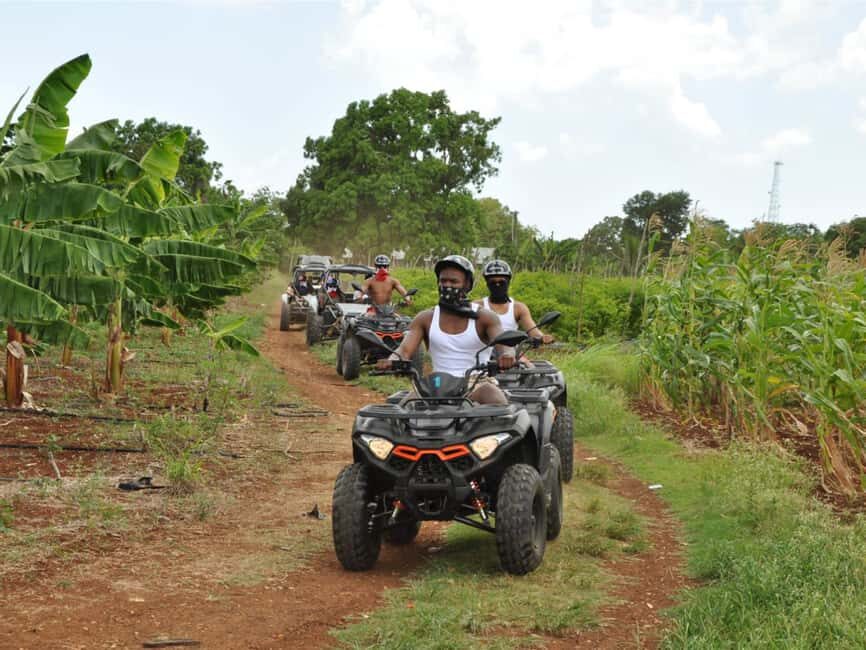 Caribbean Buggy Escape – Bayahibe Jungle & Safari - Chavón River swim: 30 minutes of cooling off