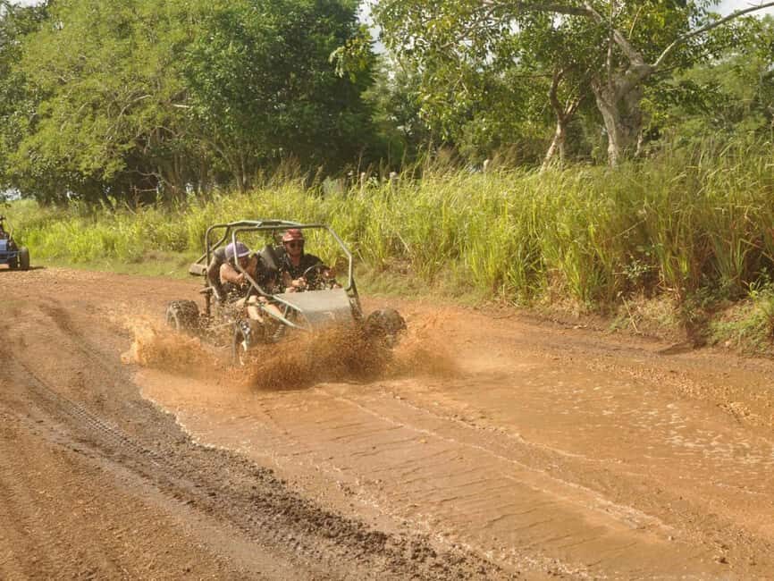 Caribbean Buggy Escape – Bayahibe Jungle & Safari - From Los Melones pickup to Bayahibe orientation in 30 minutes