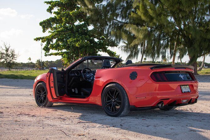 Cars for Rent in Punta Cana - Car condition: clean and maintained, with a few real-world risks
