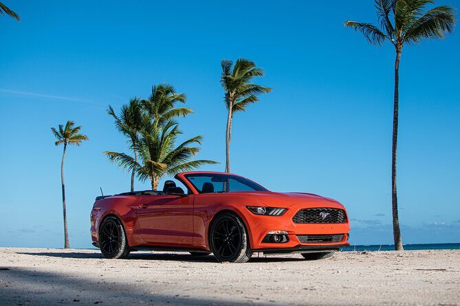 Cars for Rent in Punta Cana - Communication that makes the rental feel easy
