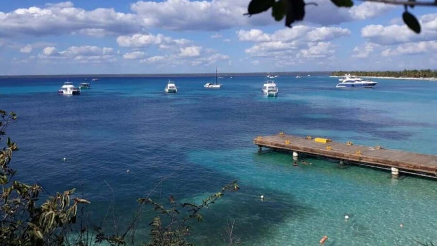 Catalina Island: Day Trip - Best Snorkeling! - Surface interval and beach time: real recovery on white sand
