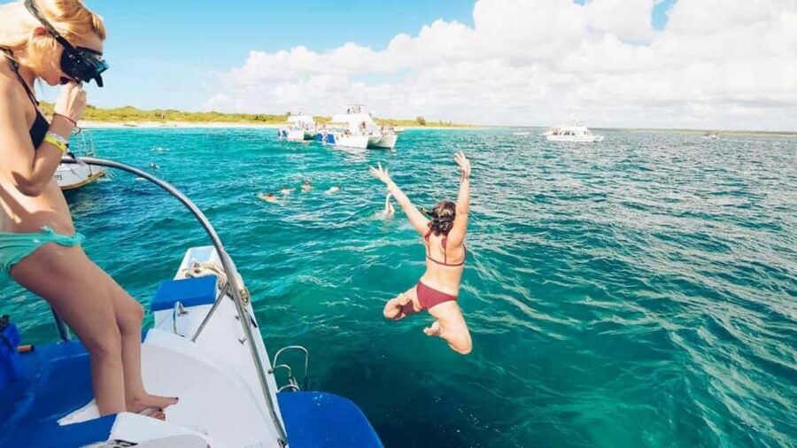 Catalina Island: Day Trip - Best Snorkeling! - Return by catamaran and boat: plan for the long end of the day