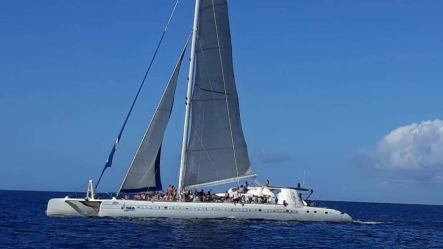 Catalina Island: Day Trip - Best Snorkeling! - Who this Catalina Island trip suits (and who should skip it)
