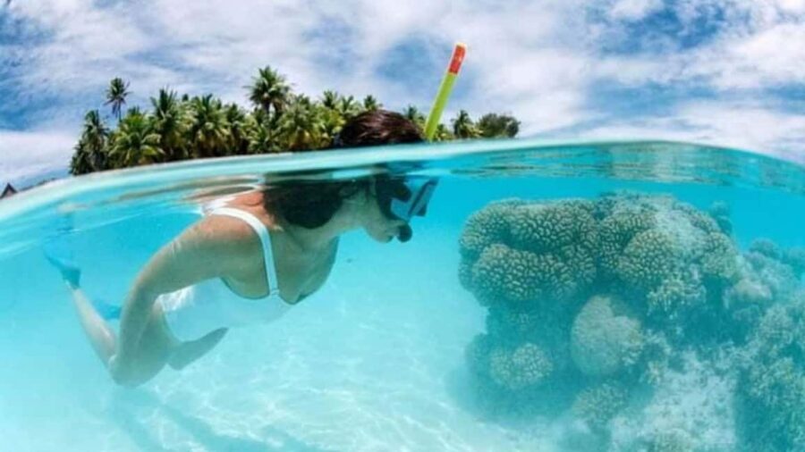 Catalina Island: Day Trip - Best Snorkeling! - Getting from Bávaro to La Romana: where the time goes