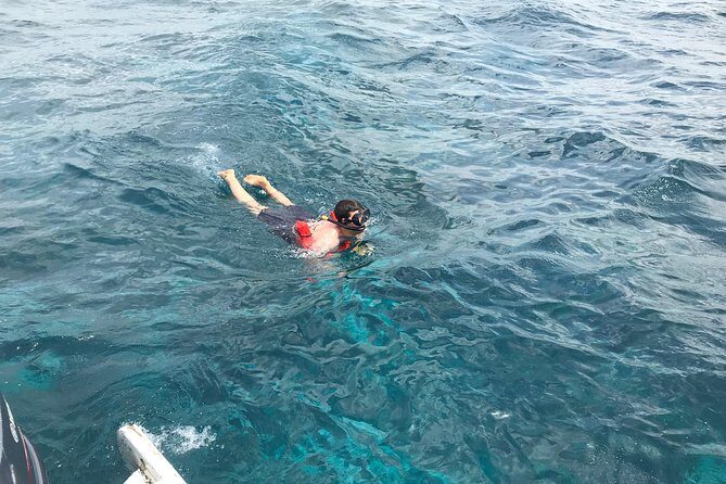 Catalina Island DayTrip + Great Snorkeling - Snorkel Gear Included: What That Changes for You