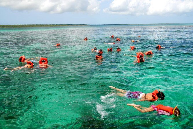 Catalina Island DayTrip + Great Snorkeling - Price and Value: Is $90 Fair for an 8-Hour Day?