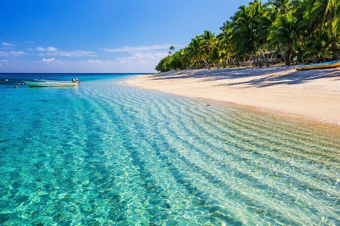 Catalina Island even more unspoilt than Saona Island - The Tour Pace and Group Size: Up to 40, Built for Families