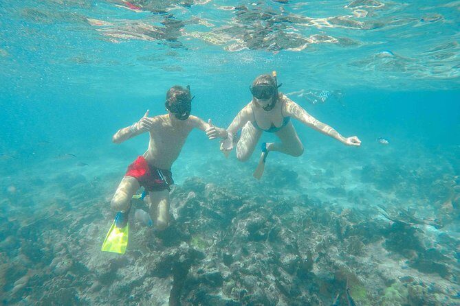 Catalina Island - Full Day All Inclusive Experience - Why Catalina Island is a Punta Cana snorkel win