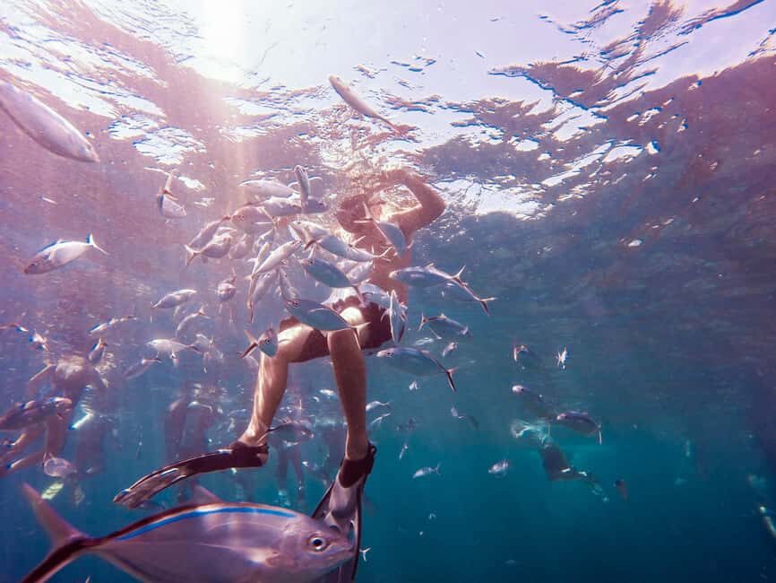 Catalina Island Full-Day Snorkeling + Lunch from Punta Cana - Key Highlights Worth Your Time