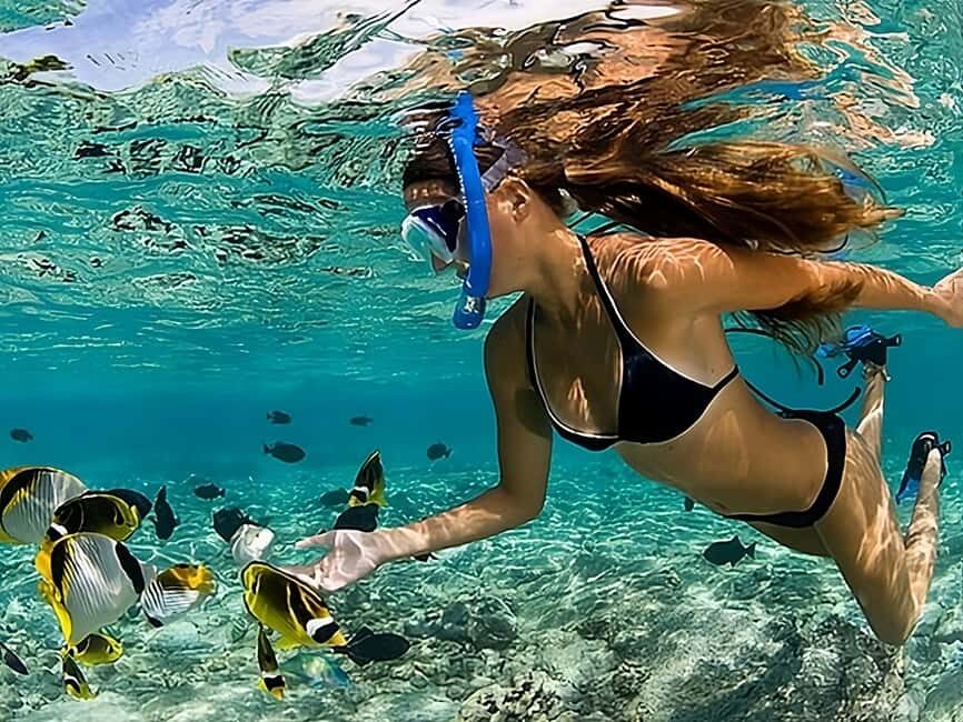 Catalina Island Full-Day Snorkeling + Lunch from Punta Cana - Price and Value at $98: What You’re Paying For (and What Can Reduce It)